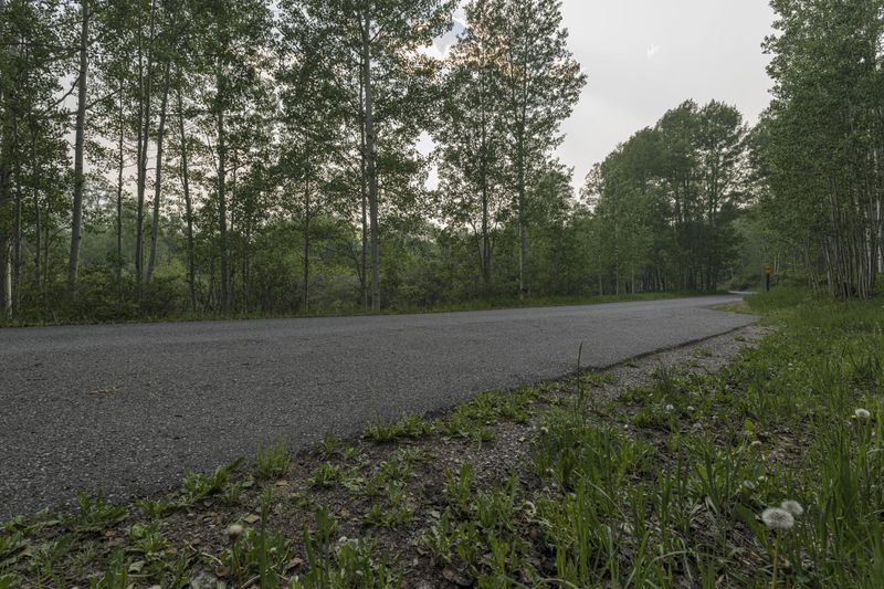 Road through Colorado Forest Mountain HDRi Maps and Backplates