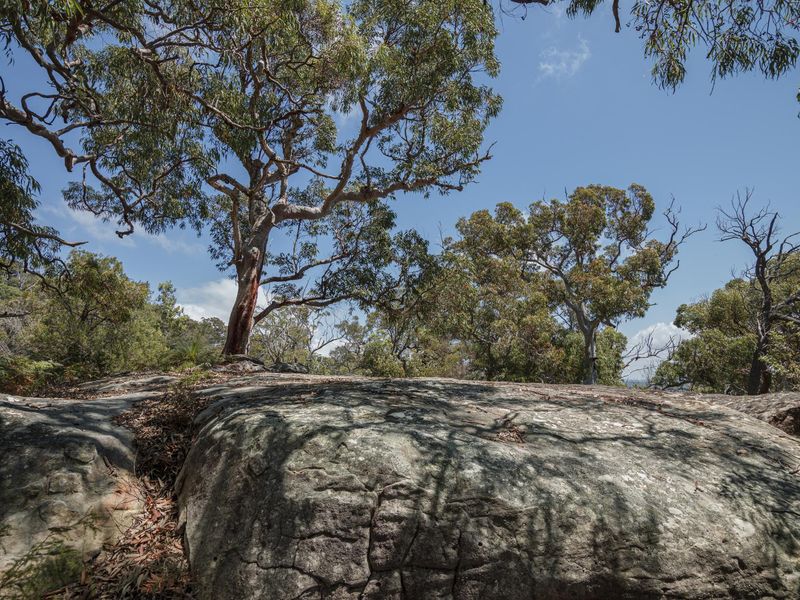Rugged Landscape with Open Spaces and Rocky Bedrock HDRi Maps and ...