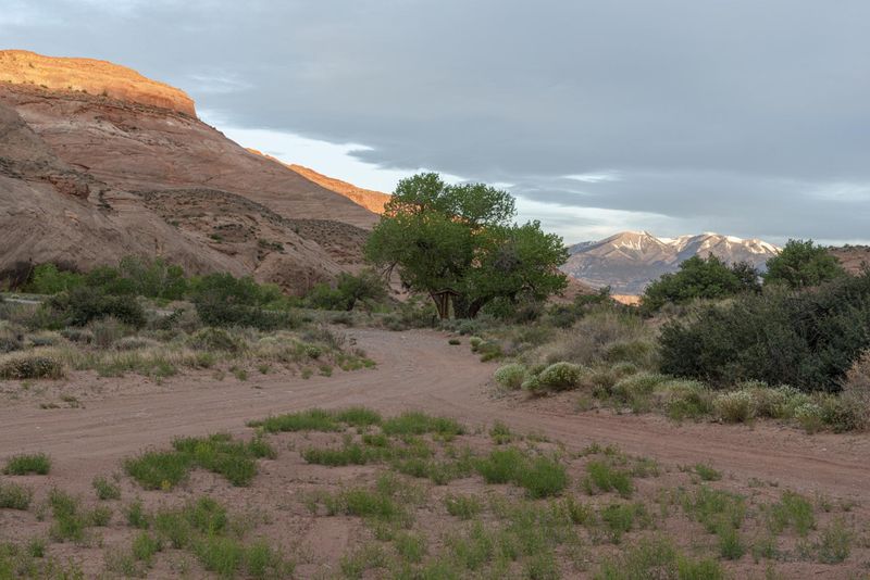 Rugged Red Rock Mountain Desert in Utah HDRi Maps and Backplates
