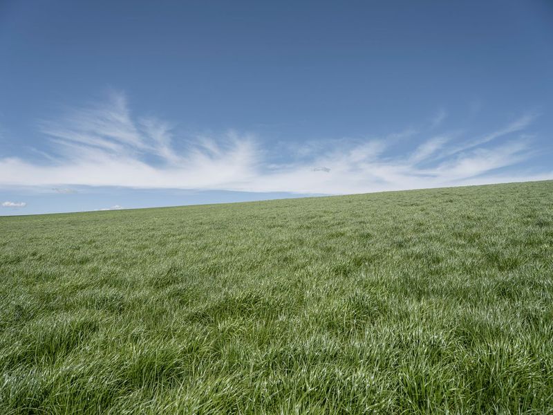 Rural Agriculture in Germany HDRi Maps and Backplates