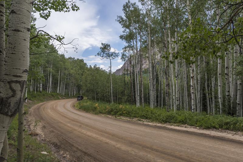 Rural Colorado: Embrace the Nature and Woody Plants HDRi Maps and ...