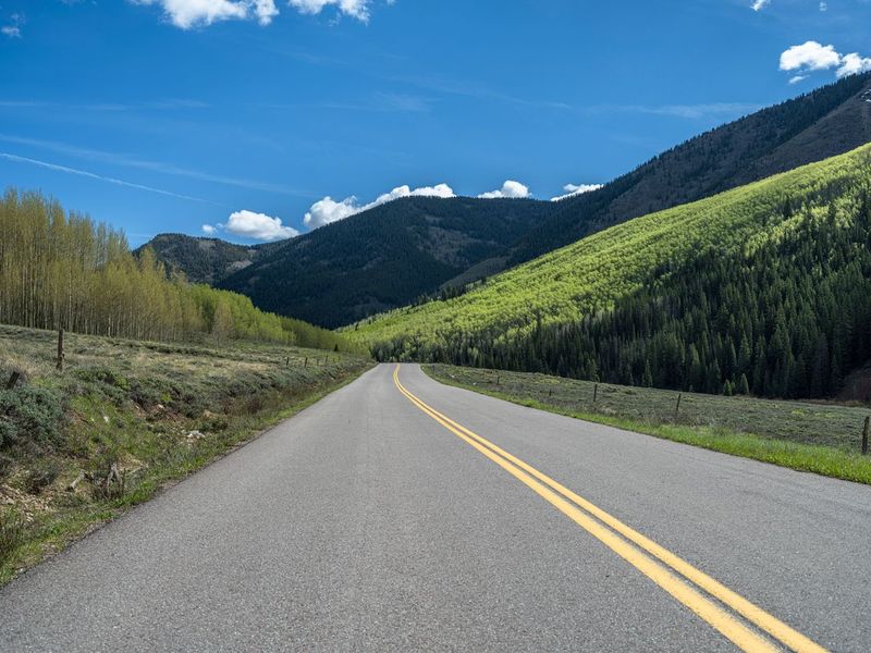 Rural Colorado: Winter Landscape with Aspen Trees HDRi Maps and Backplates