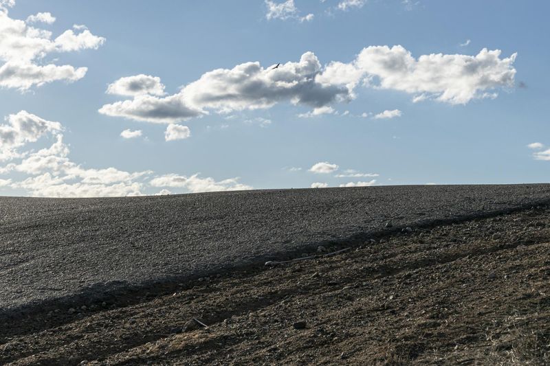 Rural Countryside: An Open Space Landscape HDRi Maps and Backplates