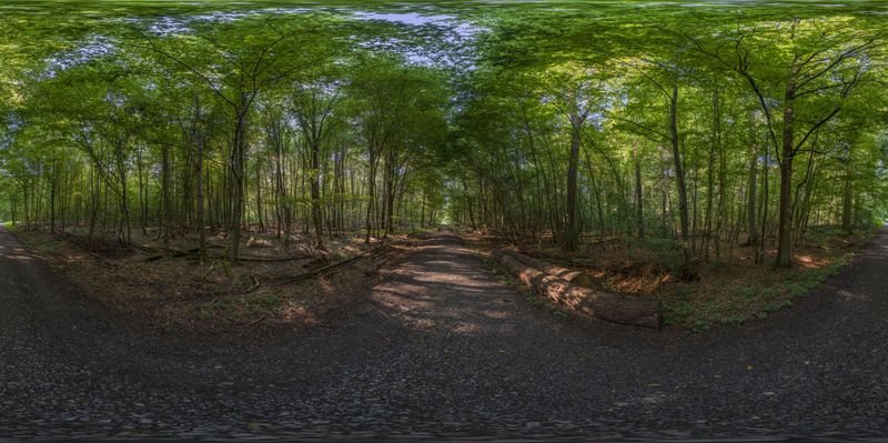 Rural Germany: A Forest Road Experience HDRi Maps and Backplates