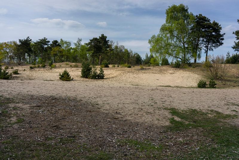 Rural Landscape in Berlin, Germany HDRi Maps and Backplates