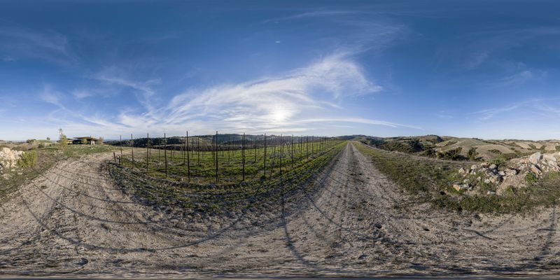Rural Landscape in California: A Scenic Dirt Road HDRi Maps and Backplates