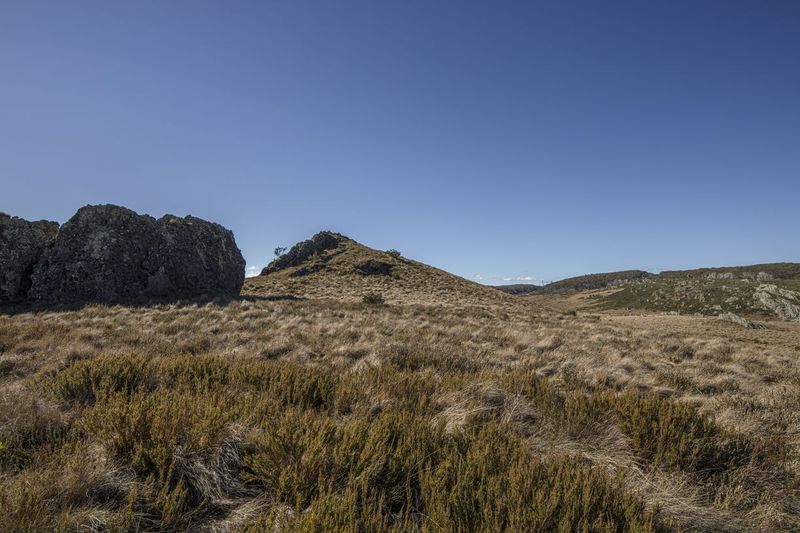 Rural Landscape Under Clear Skies during the Day HDRi Maps and Backplates