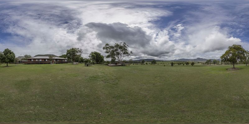 Rural Landscape: Cows Grazing in a Green Field HDRi Maps and Backplates