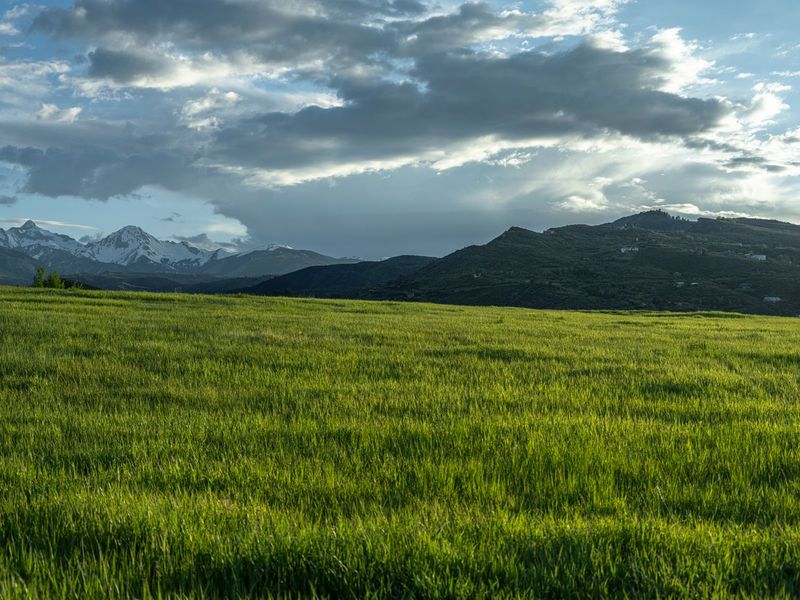 Rural Landscape at Dawn in Aspen, Colorado HDRi Maps and Backplates