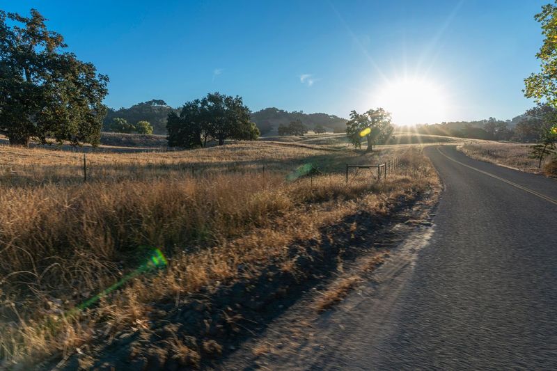 Rural Landscape at Dawn: Sun Visible HDRi Maps and Backplates