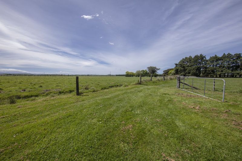 Rural Landscape with Lush Vegetation and Green Grass HDRi Maps and ...