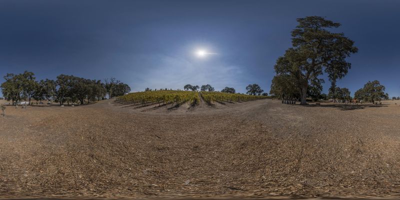 Rural Landscape: An Open Field under a Clear Sky HDRi Maps and Backplates