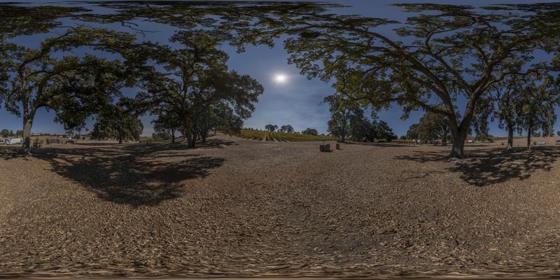 Rural Landscape: Open Field with Trees and Moon HDRi Maps and Backplates