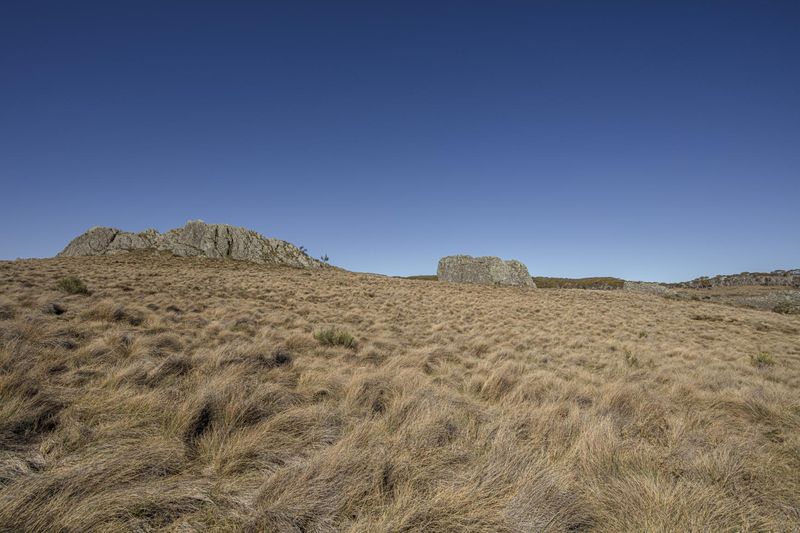 Rural Landscape: Open Spaces and Clear Skies - HDRi Maps and Backplates
