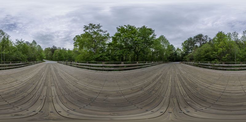 Rural Landscape: A Road Lined with Green Vegetation HDRi Maps and ...