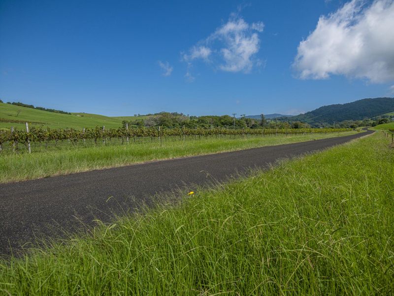 Rural Landscape with Road Sign in Grass HDRi Maps and Backplates