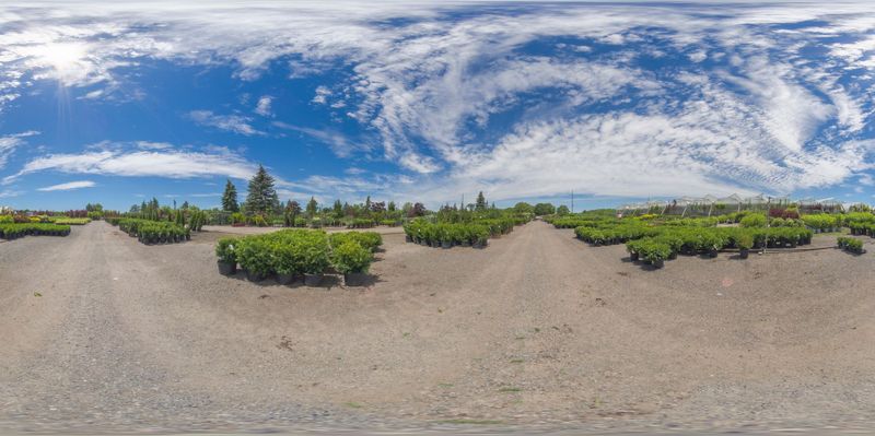 Rural Landscape: A Straight Road to the Village HDRi Maps and Backplates