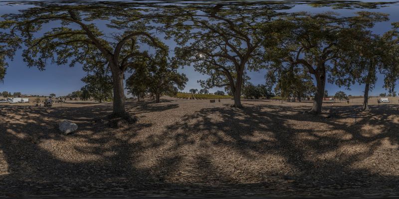 Rural Landscape: Trees and Dirt Road HDRi Maps and Backplates