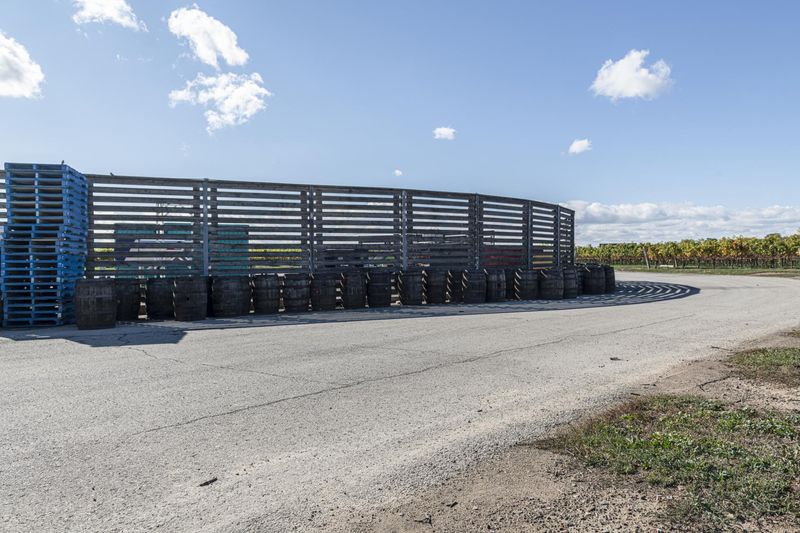 Rural Ontario Road with Asphalt Surface in Clear Sky Day HDRi Maps and ...
