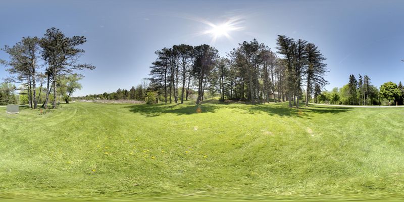 Rural Ontario: A Scenic Road Through Green Grass HDRi Maps and Backplates