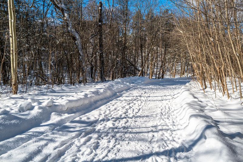 Rural Path in Ontario, Canada HDRi Maps and Backplates