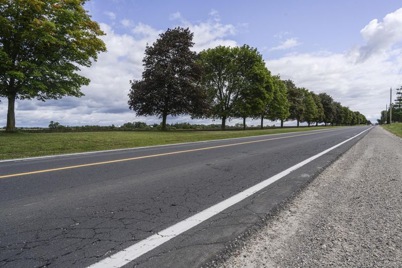 Rural Road in Canada Ontario with Tree Line HDRi Maps and Backplates