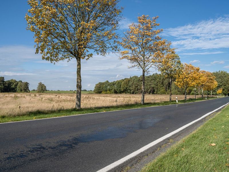Rural Road in Germany near Berlin HDRi Maps and Backplates
