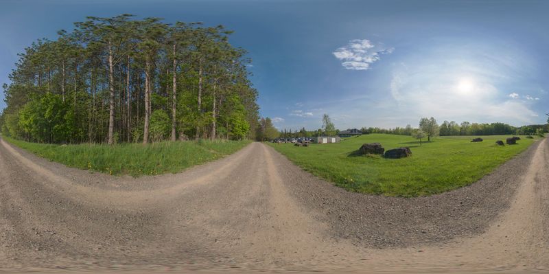 Rural Road in the Grass: Cows in the Landscape HDRi Maps and Backplates
