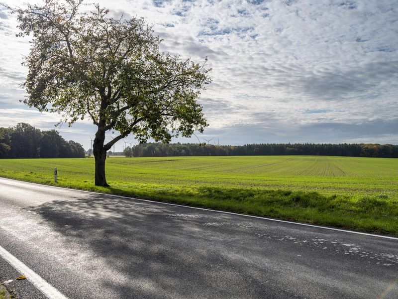 Rural Road Through a Green Field in Germany HDRi Maps and Backplates