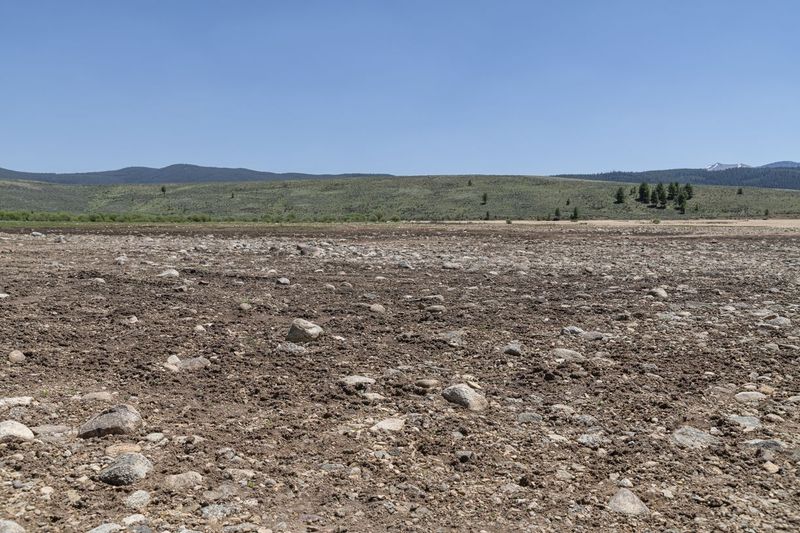 Scenic Colorado Landscape with Grazing Cow HDRi Maps and Backplates