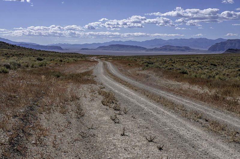 Scenic Dirt Road in California, USA HDRi Maps and Backplates