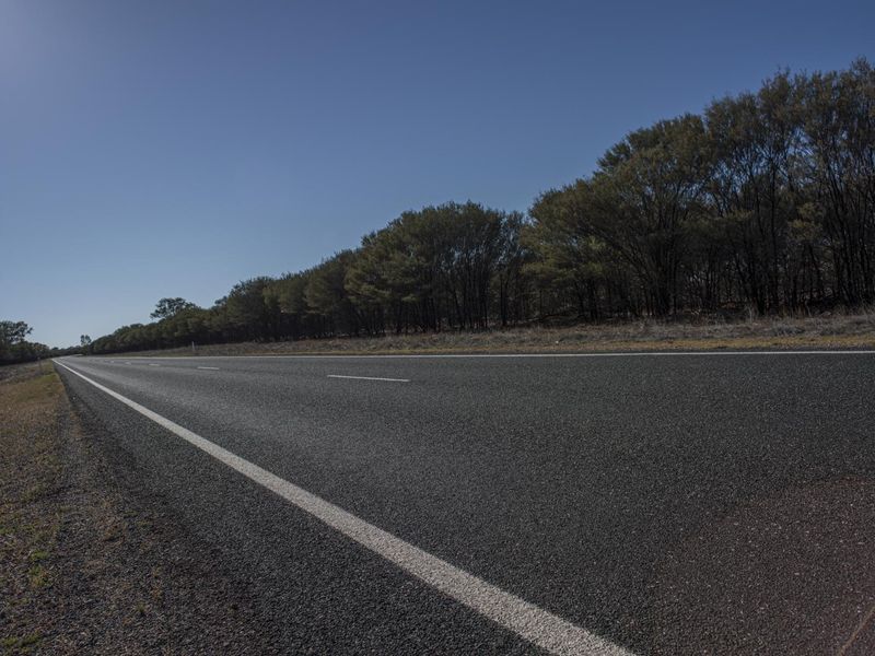 Scenic Drive on Asphalt Road Surrounded by Trees and Grass HDRi Maps ...