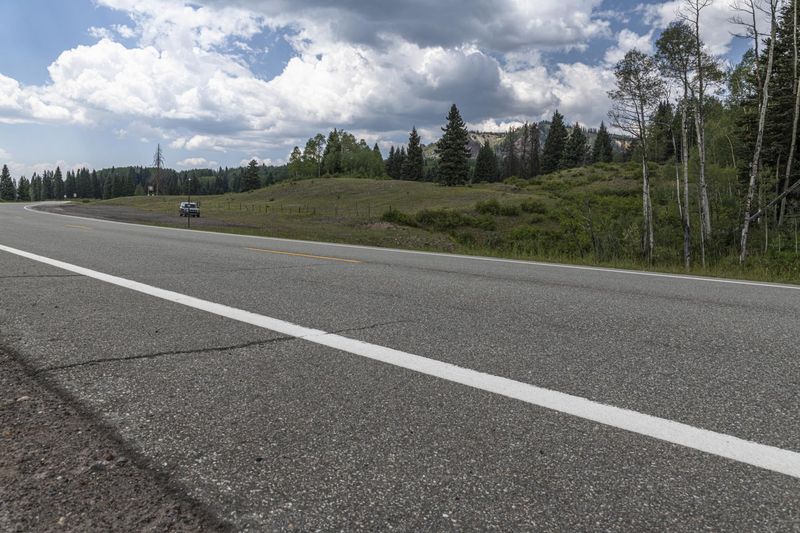 Scenic Drive Through Colorado Forest and Mountains HDRi Maps and Backplates