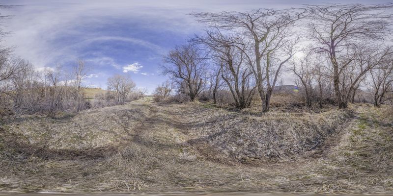 Scenic Drive in Colorado: Through the Woods and Landscape HDRi Maps and ...