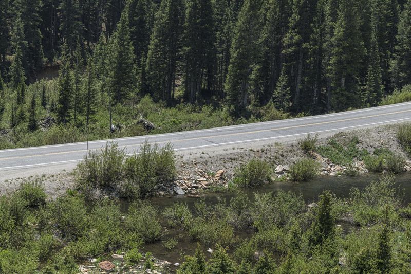 Scenic Highway in Colorado, USA with Forest and Mountain HDRi Maps and ...