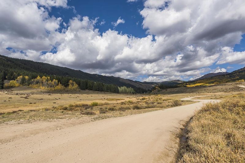 Scenic Mountain Road Winding Through Wilderness HDRi Maps and Backplates