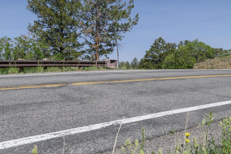 Scenic Road with Colorado Tree Vegetation View HDRi Maps and Backplates