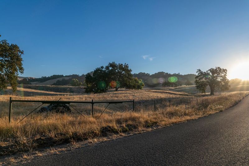Scenic Road Through Open Field with Trees and Tall Dry Grass HDRi Maps ...