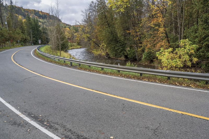 Scenic Road Surrounded by Autumn Forest and Lush Vegetation HDRi Maps ...