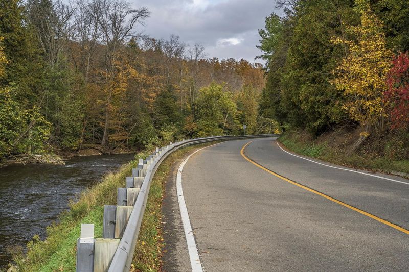 Scenic Road Surrounded by Lush Forests and Vegetation HDRi Maps and ...