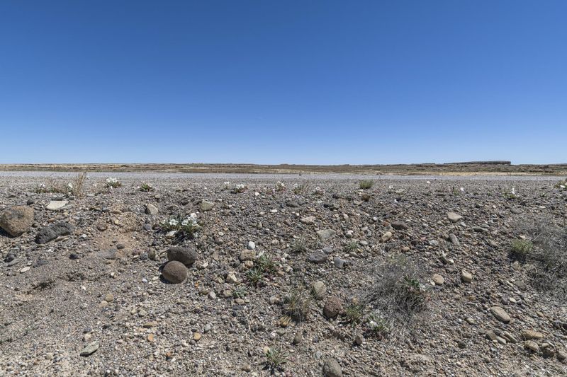 Scenic Roadside Rocks and Plants in Barren Utah Desert HDRi Maps and ...