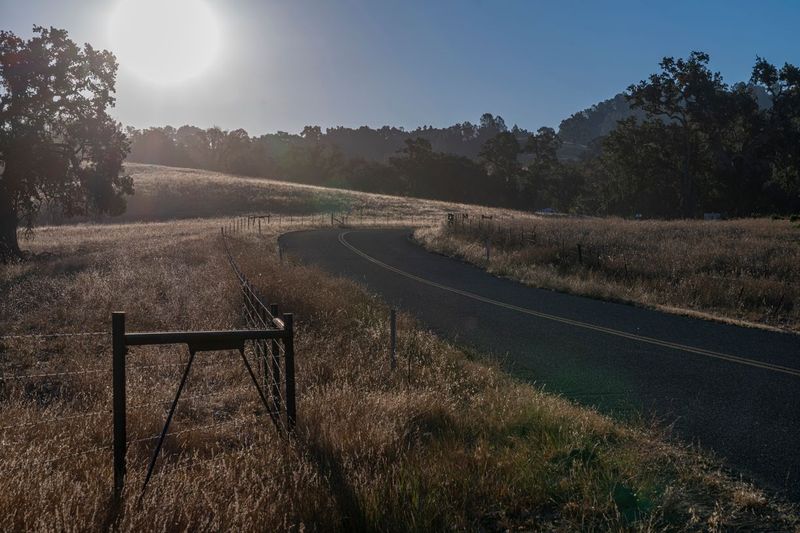 Scenic Rural Landscape with Vegetation and Clear Sky - HDRi Maps and ...