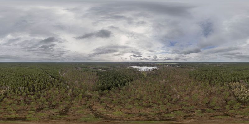 Sky Dome in a German Forest: A Serene Open Space HDRi Maps and Backplates