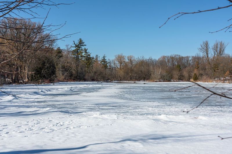 Snow Covered Park in Suburban Ontario HDRi Maps and Backplates