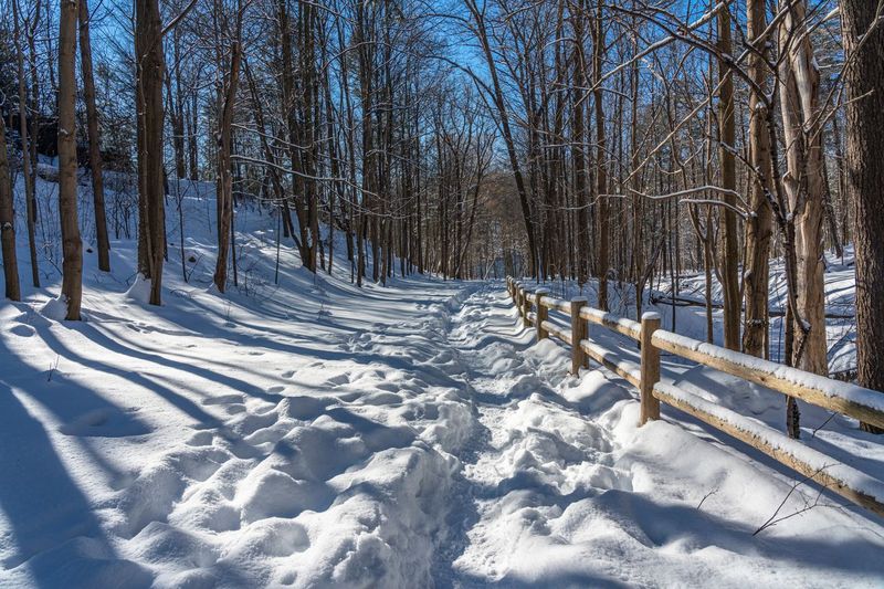 Snow Covered Road in Ontario HDRi Maps and Backplates