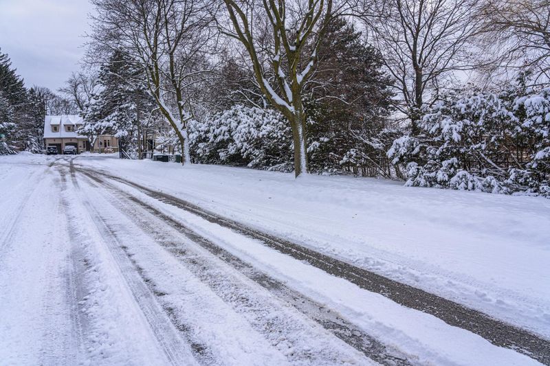Snow-Covered Road Among Trees in Canada HDRi Maps and Backplates