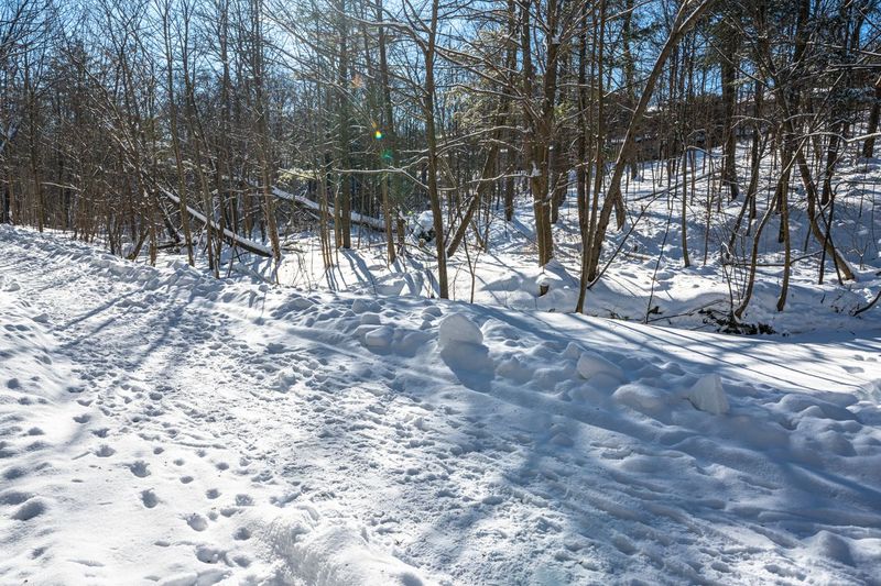 Snow-Covered Trail in Ontario, Canada HDRi Maps and Backplates