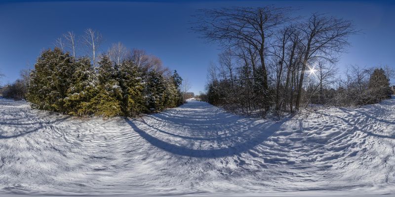 Snow Path near Forest and Tree in Ontario, Canada HDRi Maps and Backplates
