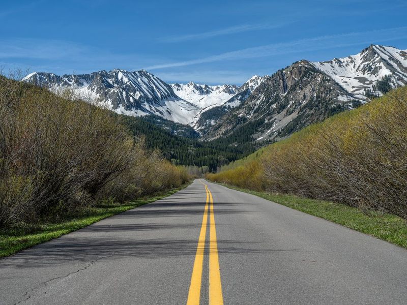 Snowy Colorado Landscape with Aspen Trees HDRi Maps and Backplates