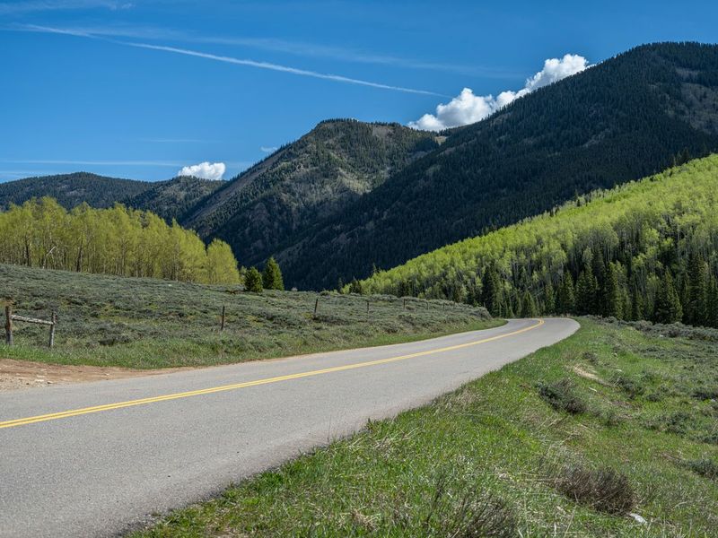 Snowy Colorado Rural Landscape with Aspen Trees HDRi Maps and Backplates
